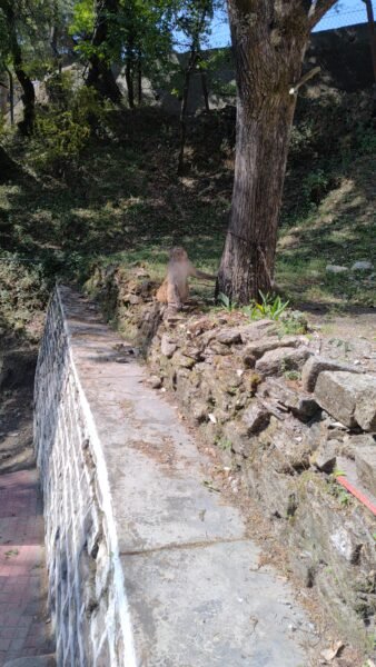Plot for sale in Dehradun